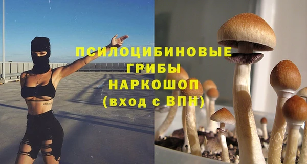 прущая мука Абинск