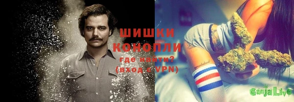 spice Абаза
