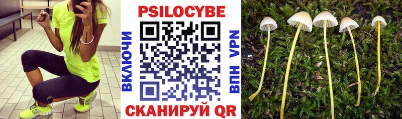 купить закладку  Ханты-Мансийск  Псилоцибиновые грибы Cubensis 